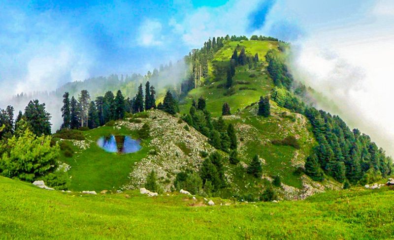 1 Day Mushkpuri Top